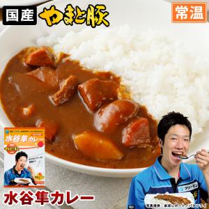 水谷隼カレー 200g | [常温] 水谷隼 レトルトカレー レトルト レトルト食品 カレー ルー 食品 常温保存 常温保存できるレトルト 常温保存できるご飯のお供