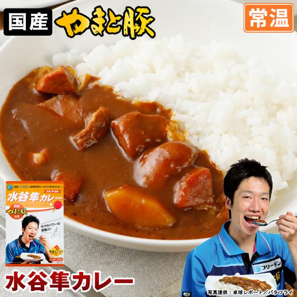 水谷隼カレー 200g | (常温) 水谷隼 レトルトカレー レトルト レトルト食品 カレー ルー ...