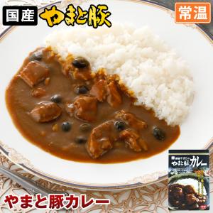 銀座やまとの やまと豚 カレー 220g    レトルトカレー レトルト レトルト食品 カレー ルー 食品 常温保存 常温保存できる ご飯のお供 お取り寄せグルメ