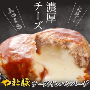 やまと豚 チーズイン ポーク ハンバーグ 15...の詳細画像1