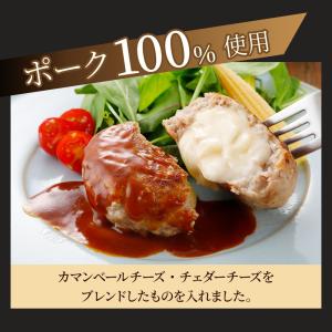 やまと豚 チーズイン ポーク ハンバーグ 15...の詳細画像2