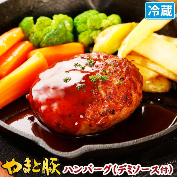 肉汁 たっぷり ハンバーグ デミグラス 155g | [冷蔵]  デミソース ギフト 湯煎 高級 惣...