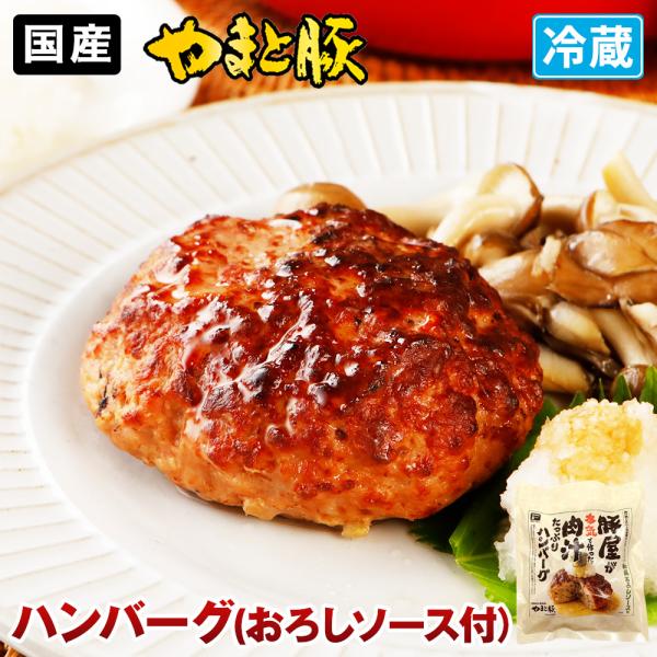 肉汁 たっぷり ハンバーグ おろし ソース 160g |  [冷蔵] ギフト 湯煎 高級 惣菜 お取...