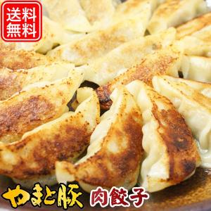 やまと豚肉餃子(業務用) 200個入り 3.6Kg | [冷凍] 送料無料 餃子 取り寄せ 冷凍餃子 中華 中華料理 業務用 肉 お肉 冷凍 豚肉 冷凍食品 食べ物 お歳暮