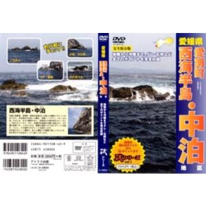 DVDビデオ 愛媛県中泊地区磯シリーズvol.1...の商品画像