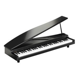 KORG MICROPIANO マイクロピアノ ミニ鍵盤61鍵 ブラック 61曲のデモソング内蔵 自動演奏可能｜friendlyfactory