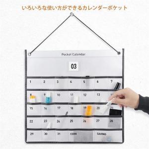 カレンダーポケット ウォールポケット お薬カレ...の詳細画像1