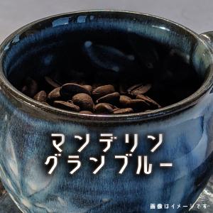 コーヒー豆 マンデリングランブルー インドネシア 200ｇ スペシャルティー コーヒー 自家焙煎 グランブルー｜frigoles