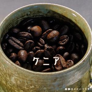 コーヒー豆 パナマ ゴールデンビートル サンセバスチャン農園 200g