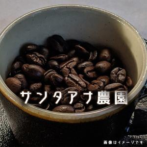 コーヒー豆 パナマ ゴールデンビートル サンセバスチャン農園 200g