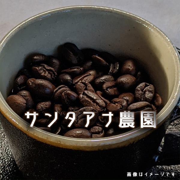 コーヒー豆 ニカラグア　サンタアナ農園　２００ｇ