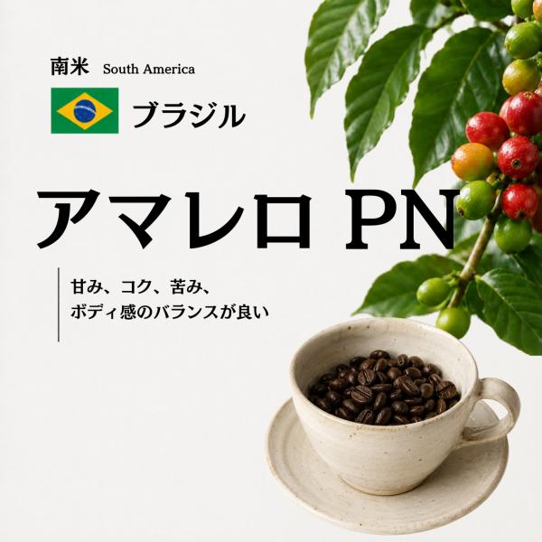 コーヒー豆 自家焙煎 アマレロPN ブラジル ２００g 発送当日焙煎 珈琲豆
