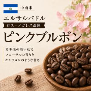 コーヒー豆 ピンクブルボン エルサルバトル ２００ｇ