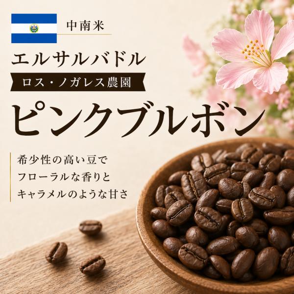 コーヒー豆 ピンクブルボン エルサルバトル ２００ｇ