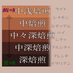 コーヒー豆 ピンクブルボン エルサルバトル 200gの詳細画像4