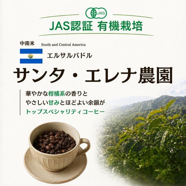 コーヒー豆 サンタエレナ農園 エルサルバトル ２００ｇ