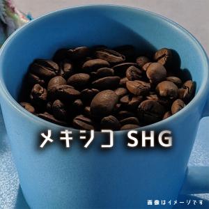 コーヒー豆 パナマ ゴールデンビートル サンセバスチャン農園 200g