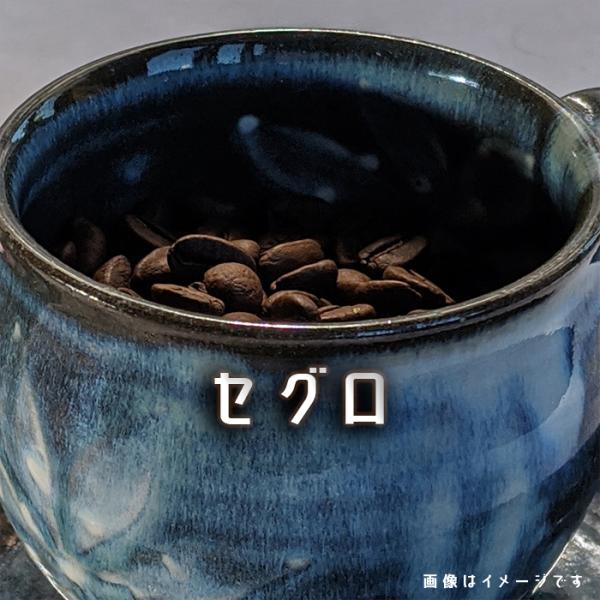 コーヒー豆 ペルー セグロ ２００ｇ