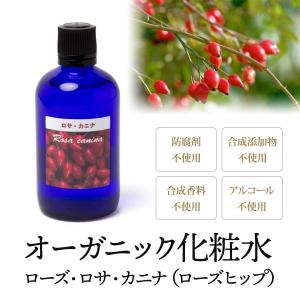 アクアーリオ 自然化粧水 530ml ビーワン 環境保全研究所 : Ace Cosme