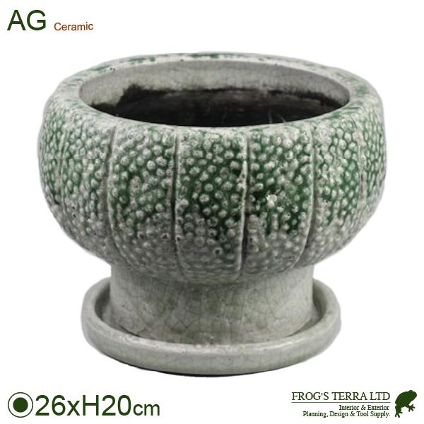 カクタス（直径26cm×H20cm）（底穴あり/受皿付）  鉢 ディスプレイ サボテン 多肉 塊根 ...