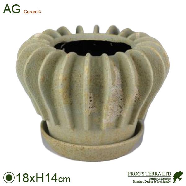 パンプキン S（直径18cm×H14.5cm）（底穴あり/受皿付）  鉢 ディスプレイ サボテン 多...