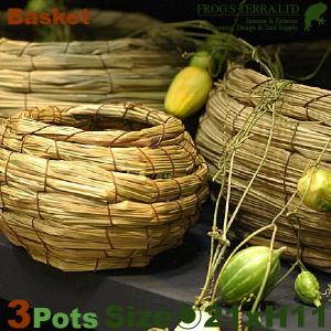 Basket・M・３個セット・B6204（直径21cm×H11cm）（底穴なし）（植物素材）（植木鉢/鉢カバー）（プランター/園芸/寄せ植え/ポット）｜frog
