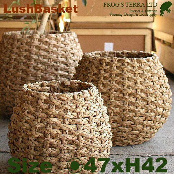 Lush Basket  M  B8211（直径47cm×H42cm）（底穴なし）（植物繊維）（植木...