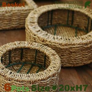 Basket・M・６個セット・B9221（直径20cm×H7cm）（底穴なし）（植物素材）（植木鉢/鉢カバー）（プランター/園芸/寄せ植え/ポット）｜frog