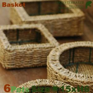 Basket S ６個セット B9224（ロ15cm×H6cm）（底穴なし）（植物素材）（植木鉢/鉢カバー）（プランター/寄せ植え/ポット）｜frog