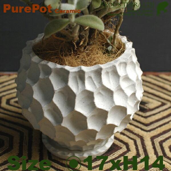 Pure Pot C2305（直径17cm×H14cm/6号）（底穴あり/受皿付）（陶器製）（プラン...