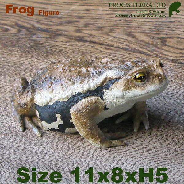 オリジナル　カエル　フィギュア　モデラー作品 送料別途