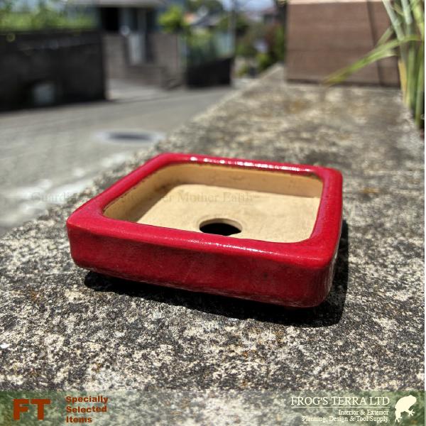 【屋外対応】鶏血 正角鉢（口7cm×H2cm）（底穴あり）  盆栽鉢 最高級