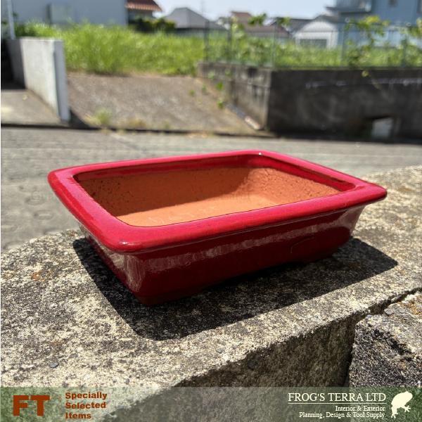 【屋外対応】鶏血 縁長角鉢 大（W16cm×D12cmxH4cm）（底穴あり）  盆栽鉢 最高級