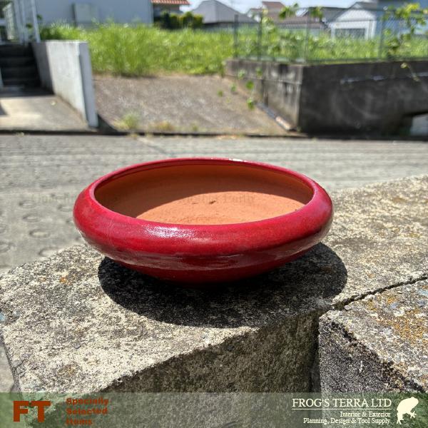 【屋外対応】鶏血 丸鉢 大（直径16cmxH5cm）（底穴あり）  盆栽鉢 最高級
