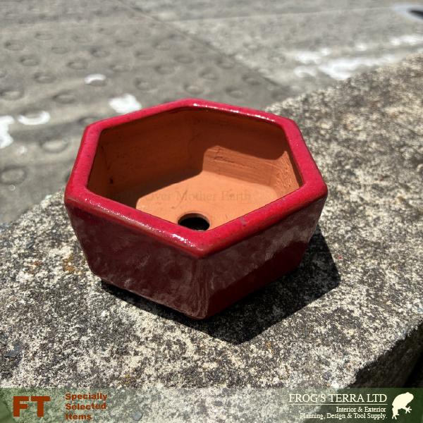 【屋外対応】鶏血 六角鉢（W10cmxD8.5xH4.5cm）（底穴あり）  盆栽鉢 最高級