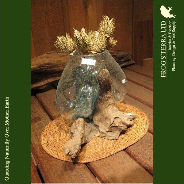 流木ガラスベース（一点もの）（現品販売）（ガーデングッズ）（レアもの）