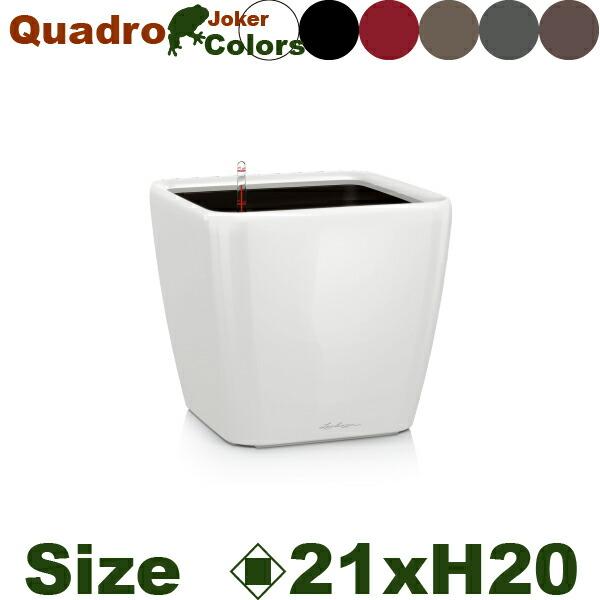 Quadro Joker クアドロ ジョーカー21(ロ21cm×H20cm）底面潅水 ポリプロピレン...