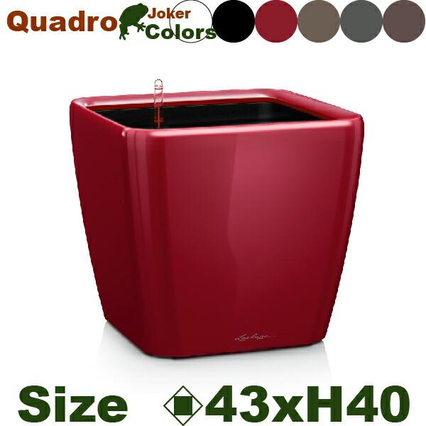 Quadro Joker クアドロ ジョーカー43(ロ43cm×H40cm）底面潅水 PP Lech...