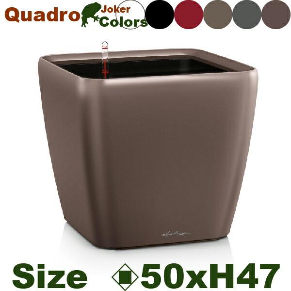 Quadro Joker クアドロ ジョーカー50(ロ50cm×H47cm）底面潅水 PP Lech...