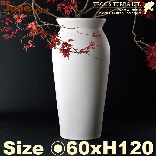 MB ジューン ライト付 60 （直径60cm×H120cm/20号）（セラルンガ/Serralun...