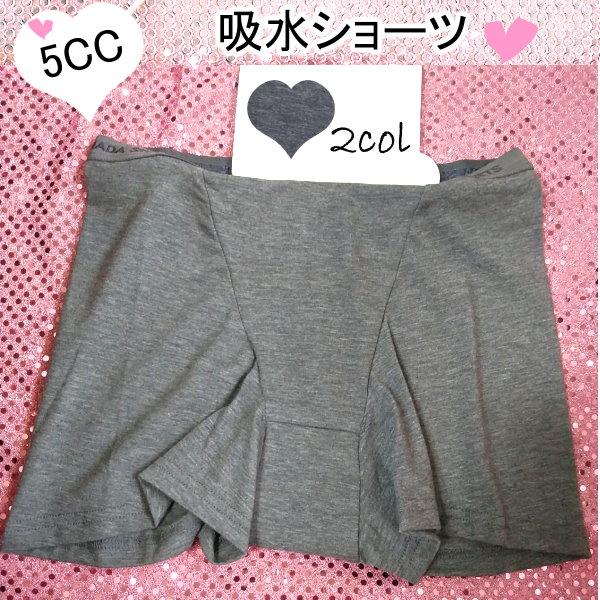 5CC 軽失禁 吸水ショーツ 尿もれ 1分丈 無地 下着 レディース ランジェリー/mbm68