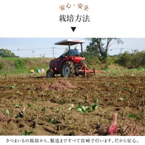ほしいも 国産 無添加 宮崎県産 120g×2...の詳細画像3
