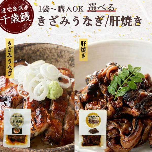 お手軽 鹿児島県大隅産『大隅の恵み きざみうなぎ60g＆肝焼き100gセット』選べる4個セット 常温...