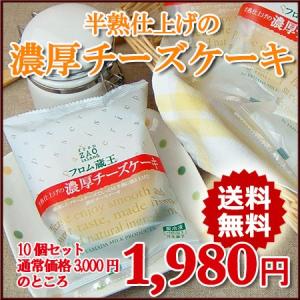 【送料無料】フロム蔵王　半熟仕上げの濃厚チーズケーキ10個セット