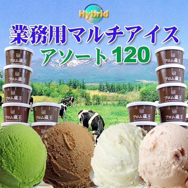 業務用 アイスクリーム Hybridマルチアイス・アソート120個セット（30個×4種）スプーン付き
