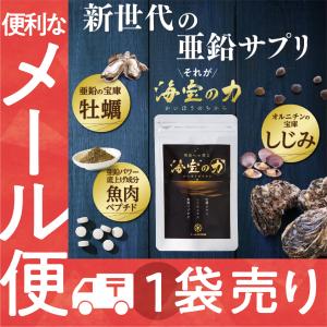 フロムココロ スラヘル サプリ 1ヶ月分 60粒 血圧を下げる GABA