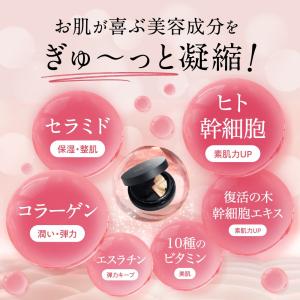 NNEファンデ レフィルのみ ニードルファンデ...の詳細画像4