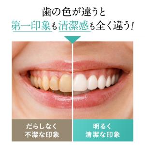 【ホワイトニング 歯磨き粉】SHIROSHU ...の詳細画像1