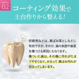 【ホワイトニング 歯磨き粉】SHIROSHU ...の詳細画像5