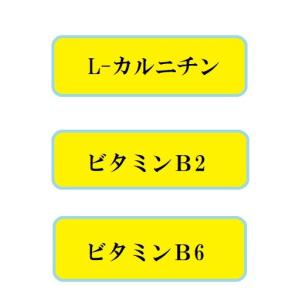 HB-555 ちから 50mlx20本 賞味期...の詳細画像3